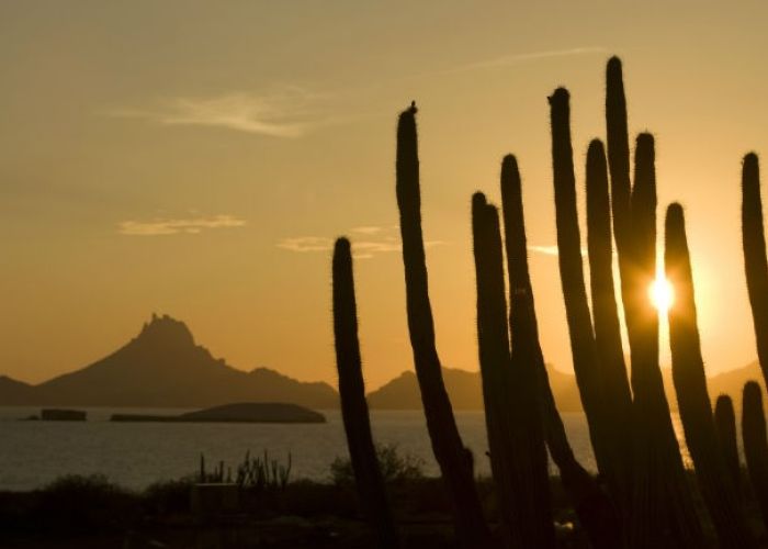 En Sonora y Baja California los costos y calidad de la gasolina permanecen como si los precios no se hubieran liberado.