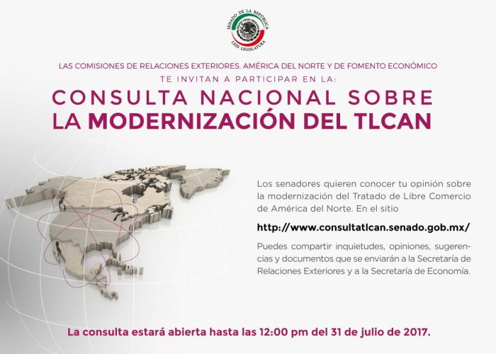 El propósito de la consulta es conocer las inquietudes de los mexicanos