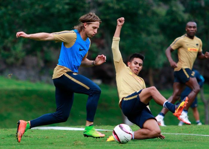 Pumas y Xolos se enfrentan en la Jornada 8 del Apertura 2017