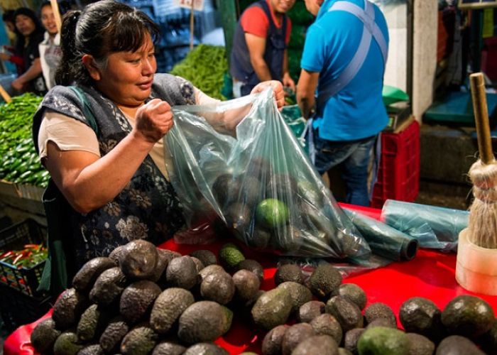 El aguacate llegó a los 70 pesos o más en el año, difícil de adquirir para los 7.5 millones de personas que ganan un salario mínimo diario por 80.04 pesos.