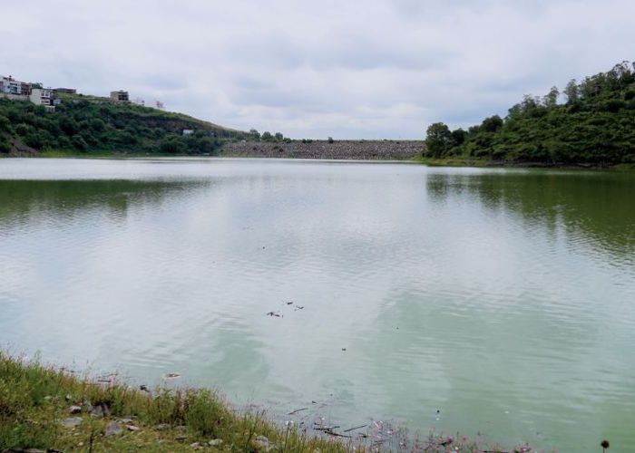 Investigadores de la UNAM, el IPN y la UAEM evaluaron la toxicidad producida por el aluminio en especies de peces consumidos por los pobladores aledaños a la presa.