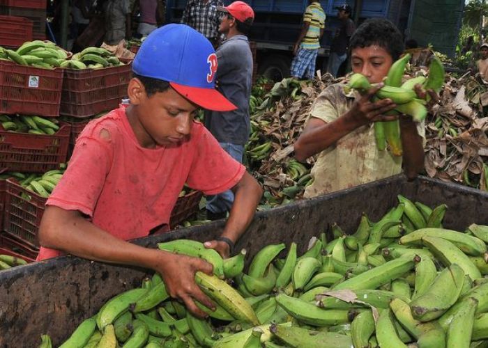 La ocupación infantil asciende al 8.6%