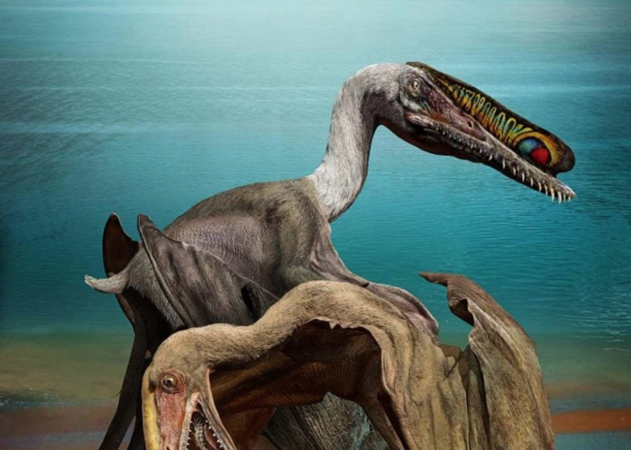 Pterosaurio