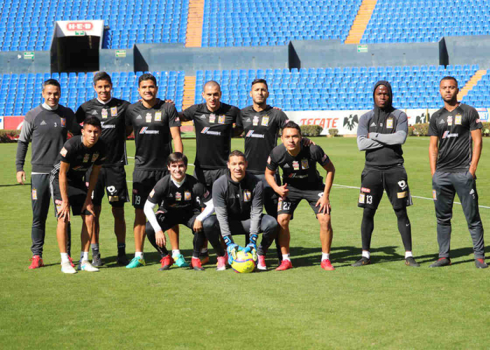 Tigres. Foto: Tigres en el volcán/Twitter @TigresOficial