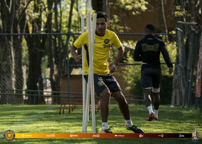 Leones Negros. Foto: Leones Negros/Twitter @LeonesNegrosCF