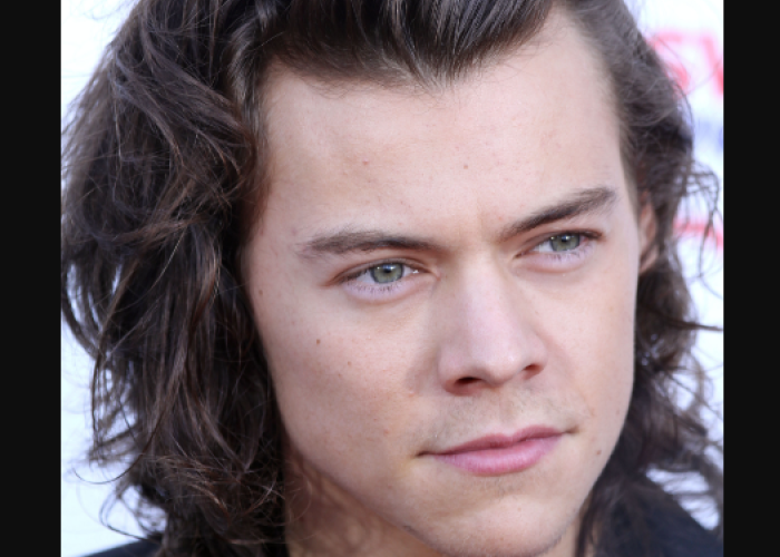 Harry Styles podría interpretar a James Bond. Foto: Wikicommons