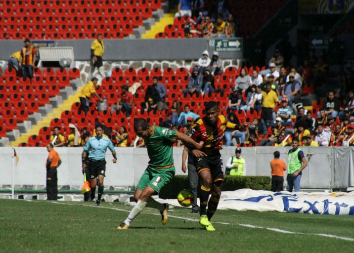 Leones Negros. Foto: Leones Negros/Twitter @LeonesNegrosCF