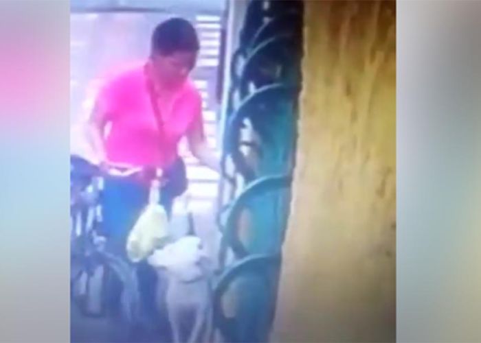 Una mujer camina por la calle, en una mano lleva su bicicleta y en la otra la correa con su perro.