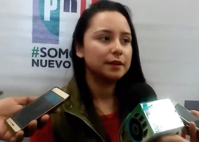 Deisy Karely Salinas de la Fuente de 23 años, es la joven que compite por el PRI a una candidatura por la Alcaldía de Rayones, Nuevo León y cuenta solo con la preparatoria.