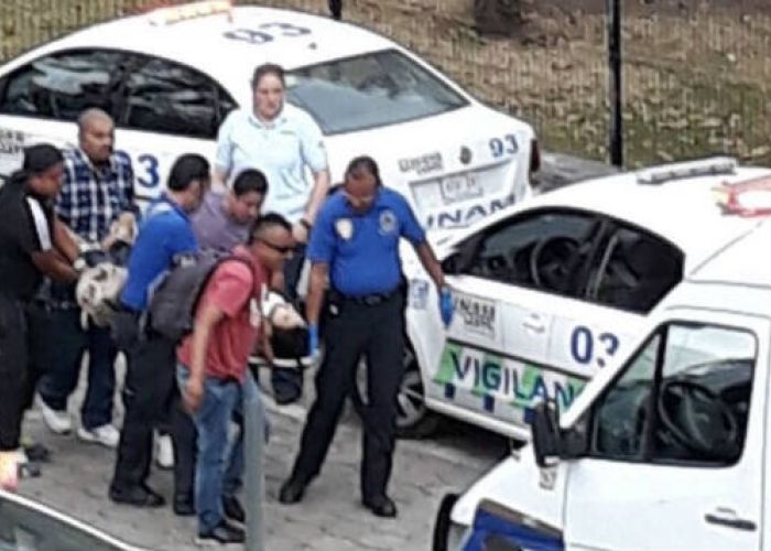 Aún no hay una declaración oficial por parte de la UNAM ni de instituciones de seguridad pública sobre los acontecimientos ni los heridos.