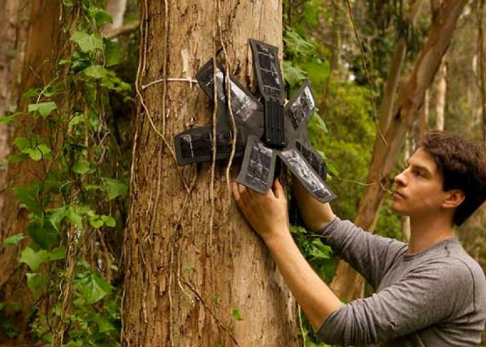 Esta organización utiliza smartphones como parte de las soluciones de la deforestación.