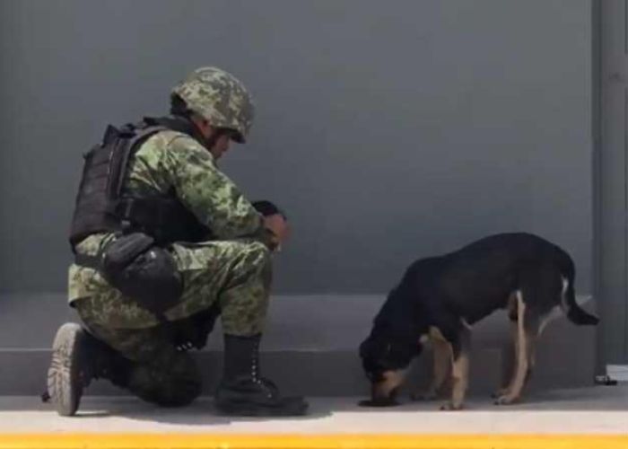 Este soldado se ganó la atención de los internautas