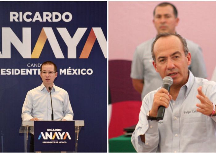 ricardo anaya seguridad