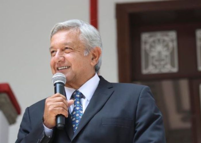 La primera encuesta a especialistas del sector privado realizada ya con AMLO electo, muestra una preocupación por la inseguridad y la corrupción en el país. 