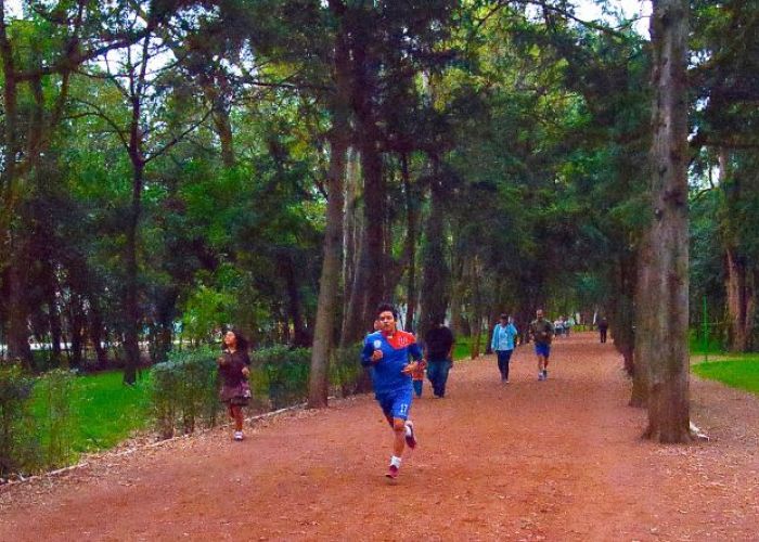 Perder el Parque Bicentenario aumentaría el fenómeno de isla de calor en la ciudad.