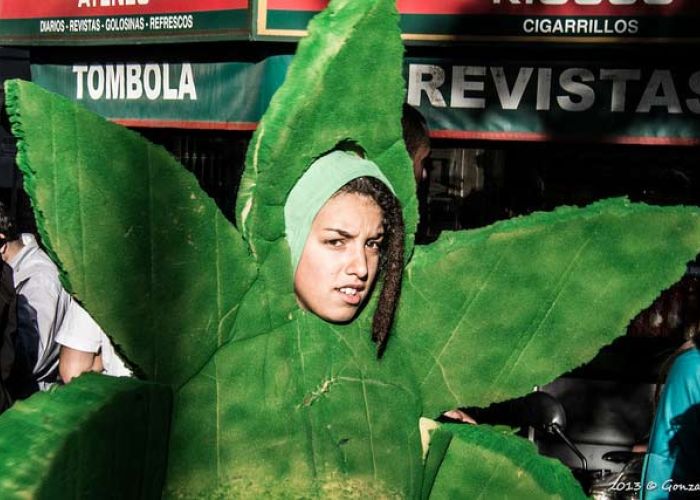 El turismo de drogas no ha sido regulado y pone en riesgo de delito a cultivadores de marihuana. Foto: Gonzalo G. Useta/algunos derechos reservados. 