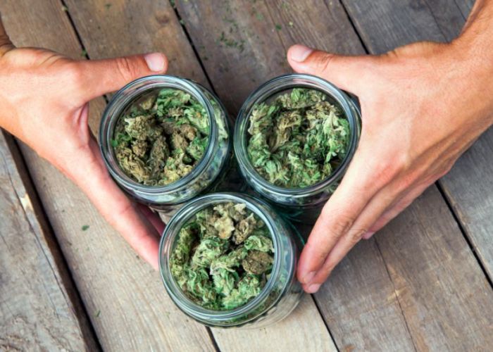 Aurora Cannabis busca llegar a un mercado mexicano de 130 millones de personas.
