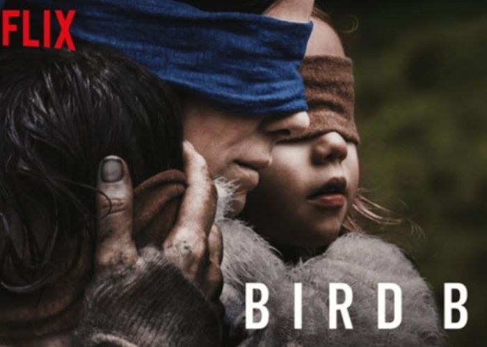 Gracias a Birdbox y Roma, la compañía superó el pronóstico de nuevos suscriptores, pero incumplió en su estimación de ingresos.