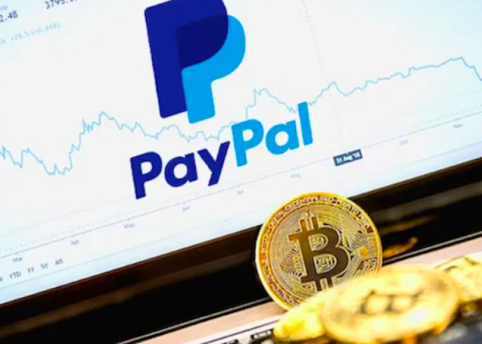 PayPal también proporcionará contenido educativo para ayudar a comprender el ecosistema de las criptomonedas.