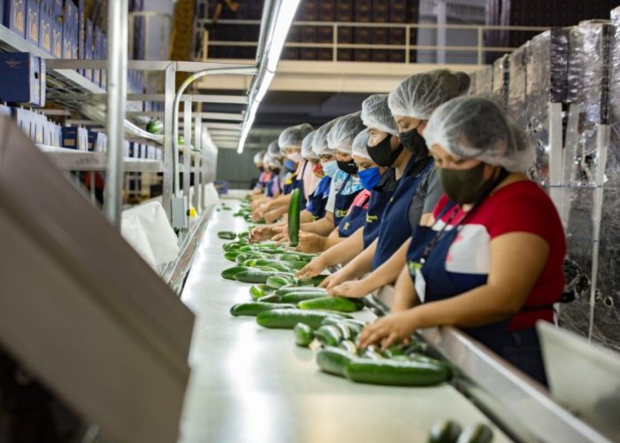 En mayo se generaron 38,961 nuevos empleos formales, de acuerdo al IMSS; el mayor incremento registrado para dicho mes durante los últimos seis años (Foto: Gobierno del Estado de San Luis Potosí)