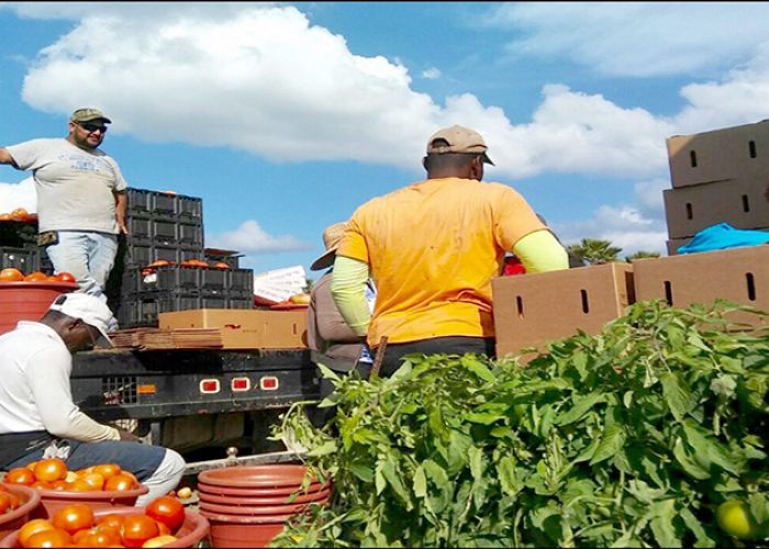 La tasa de desocupación alcanzó el 17.1% entre los mexicanos en EU. (Foto: Gobierno de México)