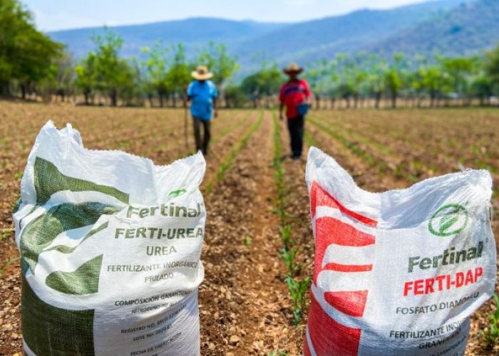 Costales de urea y fosfato diamónico, dos de los fertilizantes más comunes. (Foto: Gobierno de México)