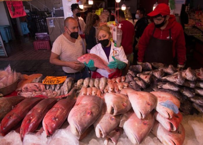Venta de pescados en el mercado La Nueva Viga. (Foto: Gobierno de México)