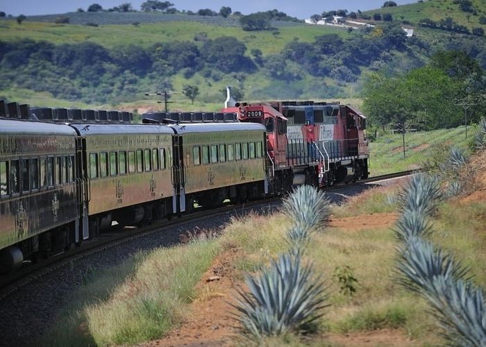 La titular de SE dijo que el cambio al tren respondería a un deseo de diversificación (Foto: Senado de la República)