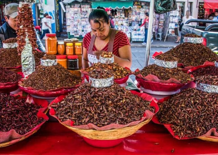 México es uno de los mayores consumidores de insectos en el mundo. (Foto:Flickr)