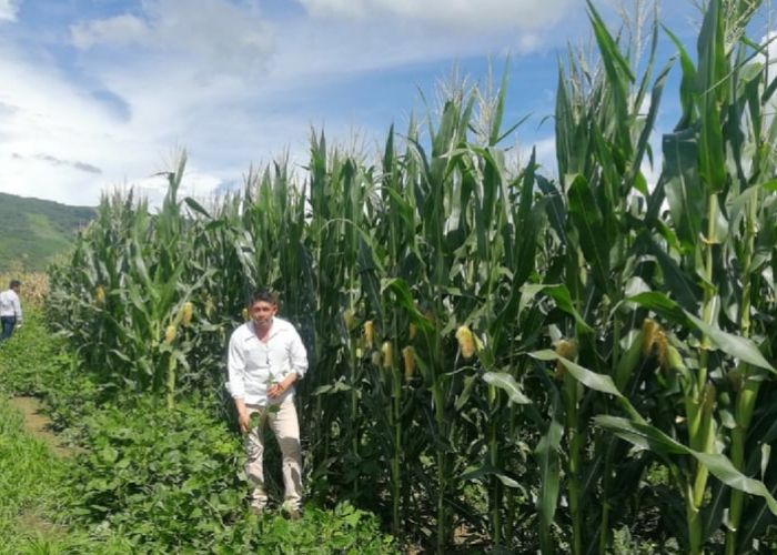 Para los productores, el precio de los fertilizantes ha aumentado casi 33% desde 2020 (Foto: Gobierno de México)