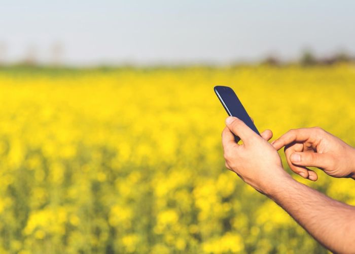 El uso de la tecnología ha demostrado reducir los costos de producción en más de 50%. (Foto:Pexels)