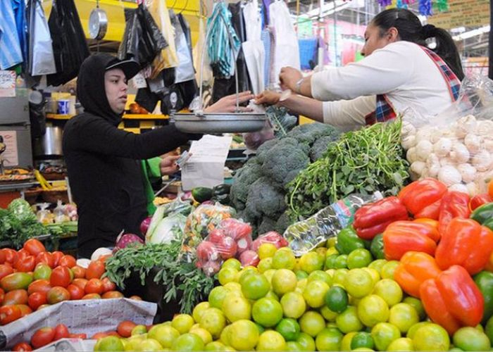 El precio de la papa se incrementó 28% en junio (Foto: Senasica. Gobierno de México)