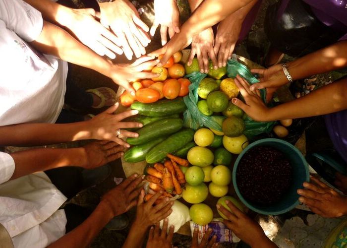 La FAO insta a México a priorizar las inversiones públicas en agricultura teniendo también en cuenta la nutrición. (Foto: Gobierno de México)