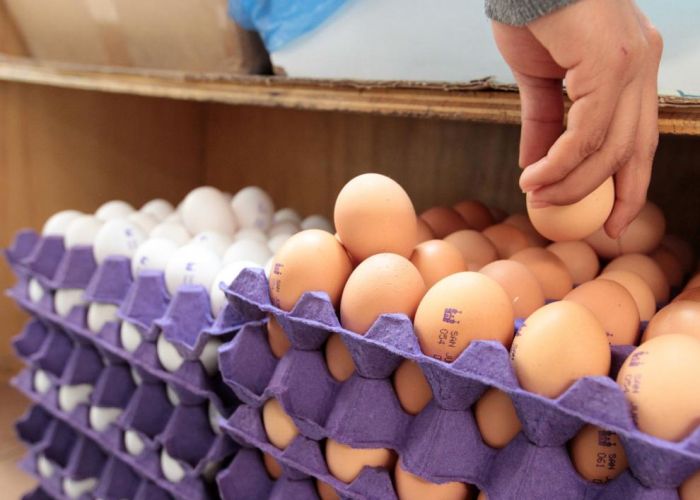 El precio del huevo, uno de los alimentos más consumidos en México, se incrementó 6.28% en la primera quincena de julio (Foto: Gobierno de Tulancingo)