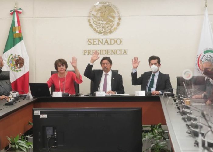 Sesión de la Comisión del Trabajo y Previsión Social del Senado. (Foto: Cámara de Senadores)