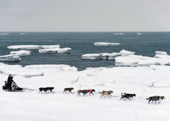 El recorrido de 1600 kilómetros atraviesa los terrenos y climas más extremos del mundo (Foto de DailyGazette)