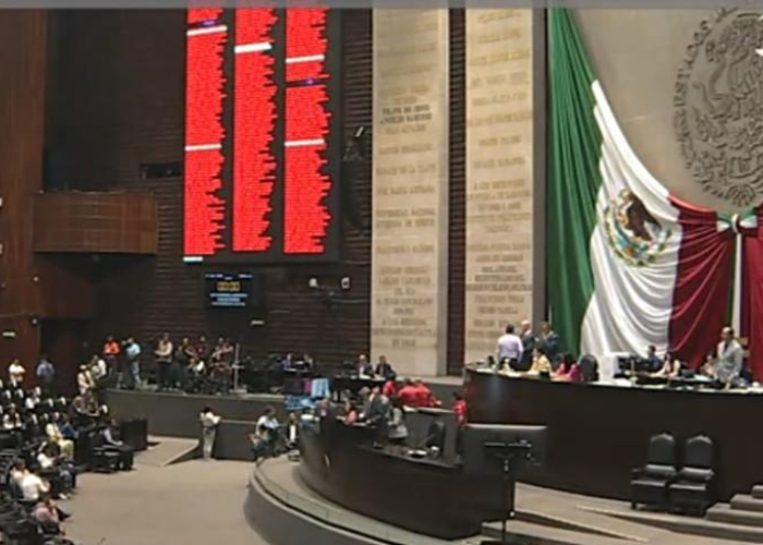 Cámara de Diputados (Foto: Canal del Congreso)