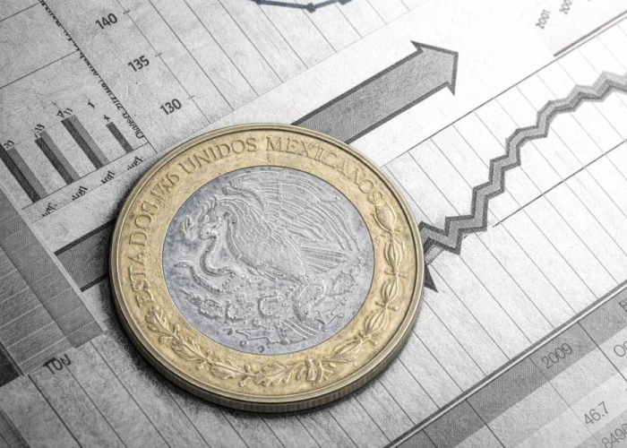 Sorprende el desplome de la economía en enero