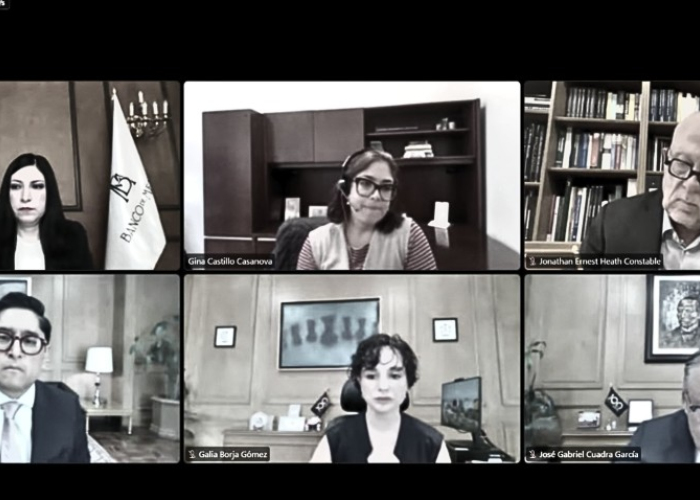 Reunión virtual el 29 agosto. Informe Trimestral de Banxico (Imagen tomada de Youtube)