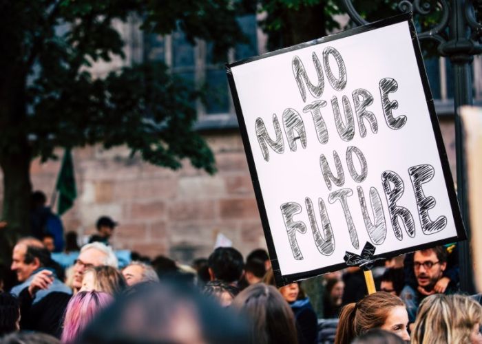 Marcha a favor del medio ambiente, septiembre 2019 (Foto: Pexels)