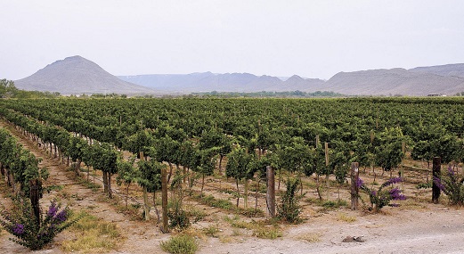 Pueblos Mágicos de Coahuila, Parras.