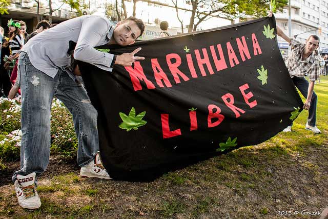 Desde 2013 la marihuana se legalizó en Uruguay. Foto: Gonzalo G. Useta
