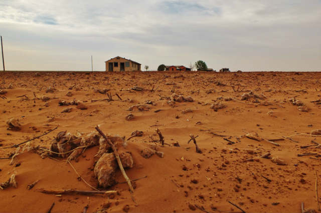 El 17 de junio se celebra el Día Mundial de Lucha contra la Desertificación y la Sequía