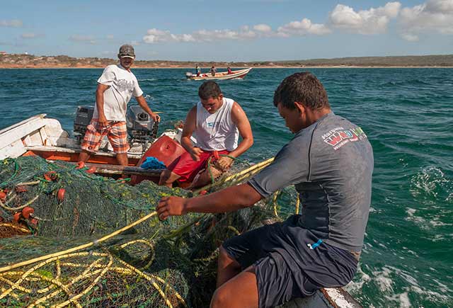 El cambio climático podría afectar la distribución de especies marinas y causar conflictos pesqueros